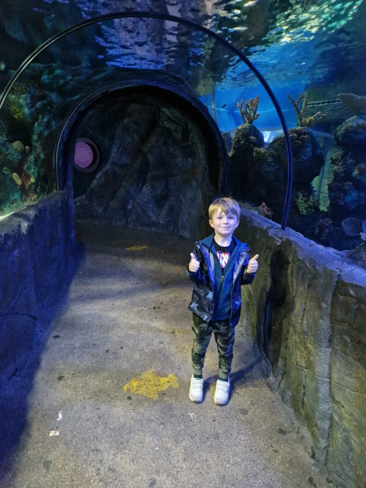 Chessington - Sea Life Centre