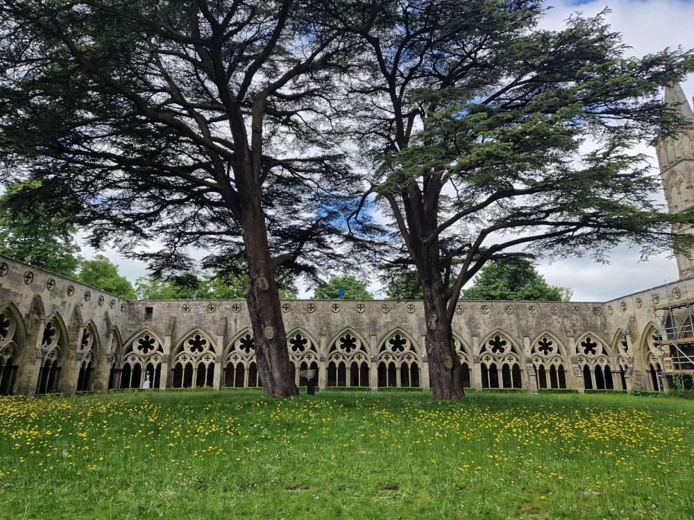 Salisbury Cathedral Cloisters
