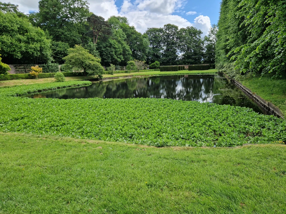 Erddig Gardens Pool