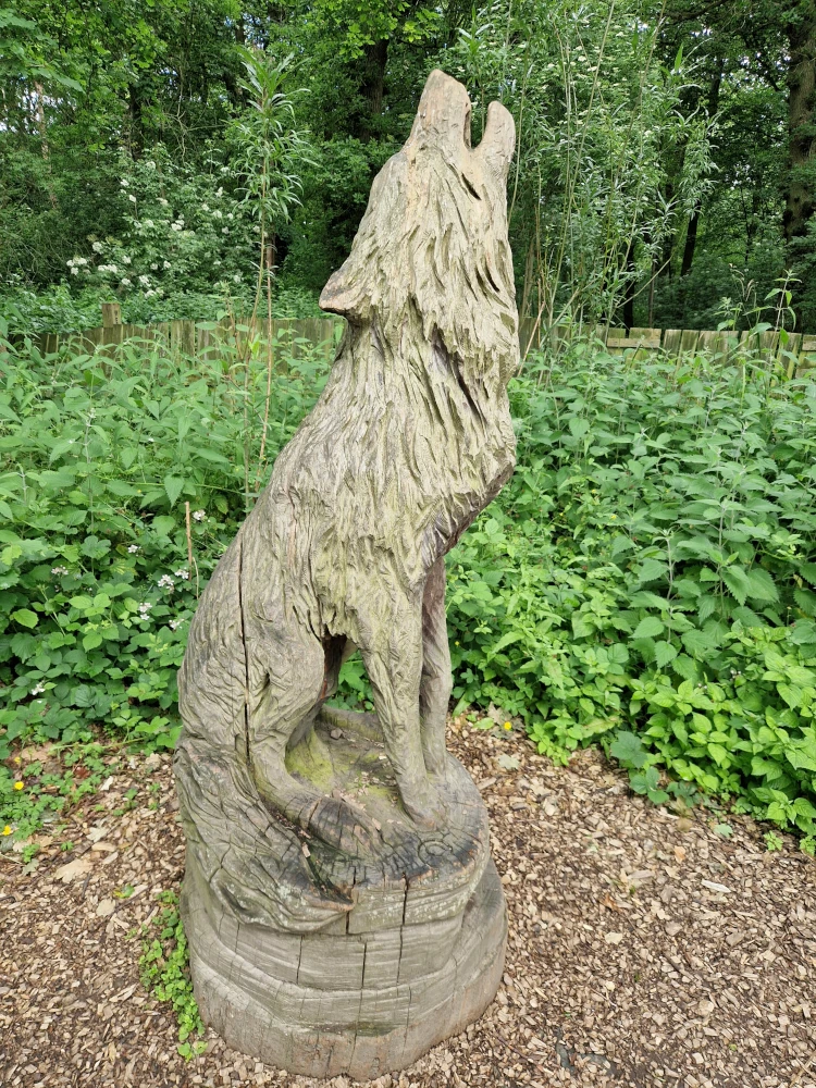 Erddig Wolfs Den