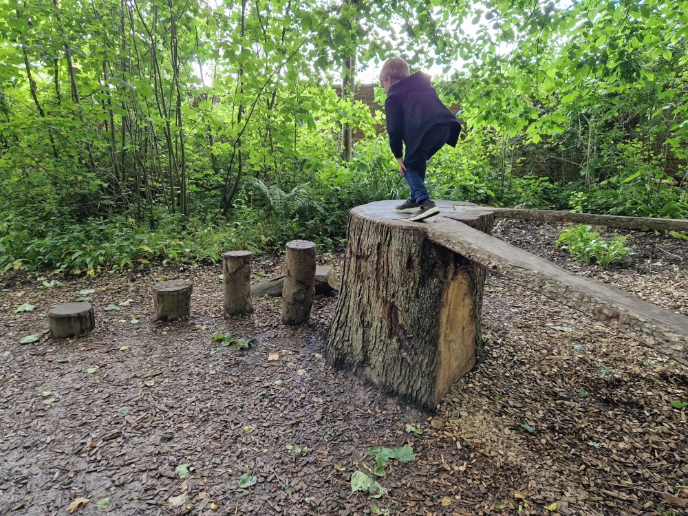 Erddig Wolfs Den