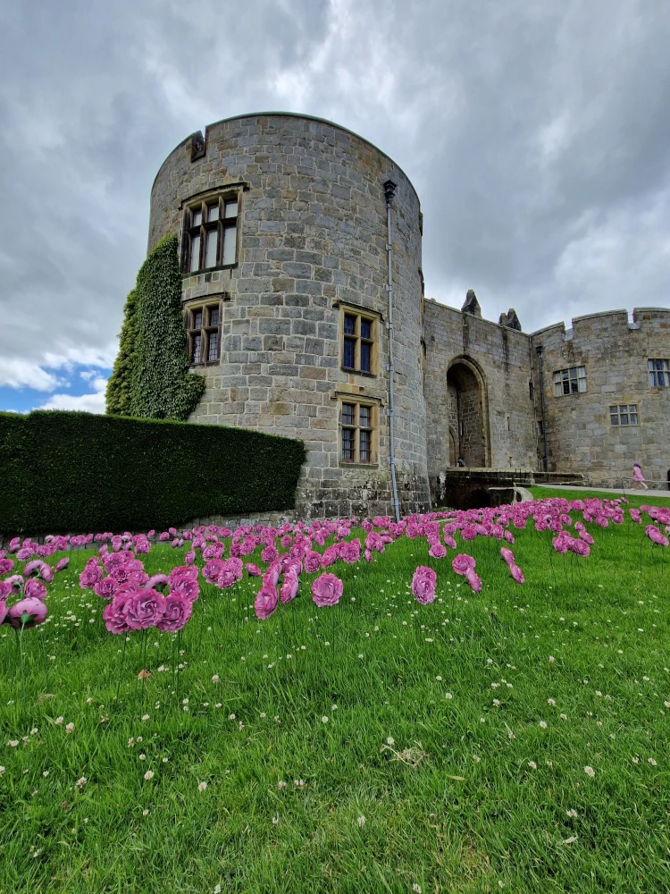 Chirk Castle Peonies