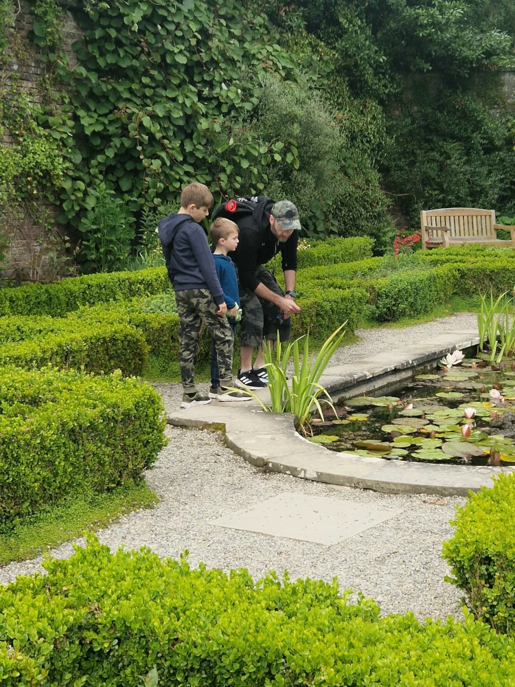 Penrhyn Castle Walled Garden