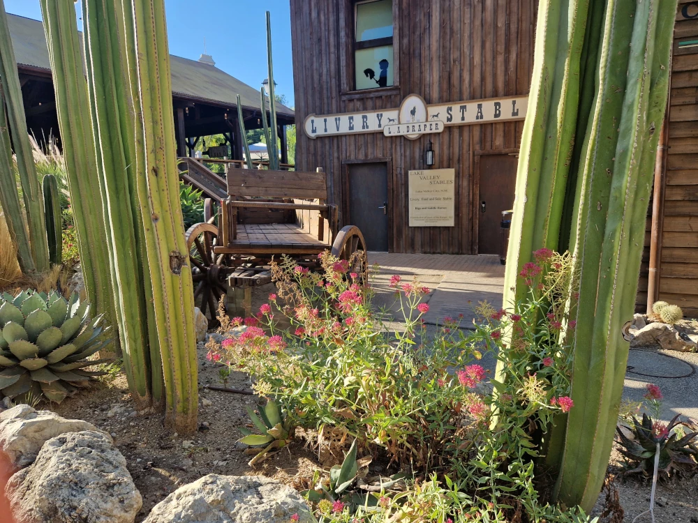 Hotel Gold River Resort