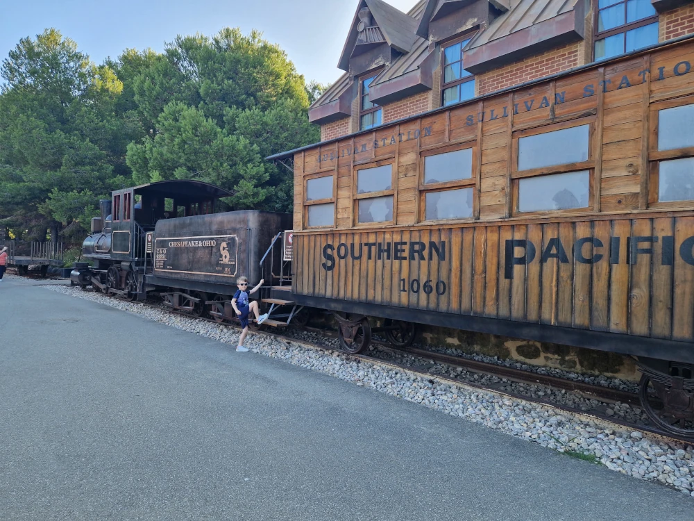 Hotel Gold River Resort Train