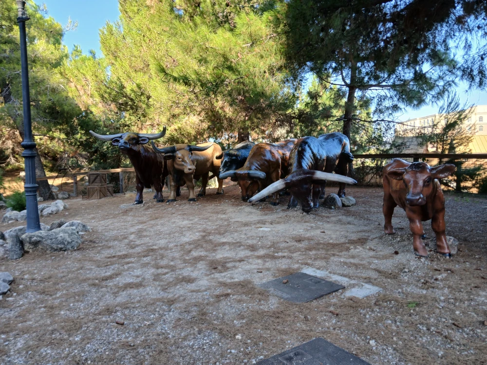 Hotel Gold River Resort Cattle