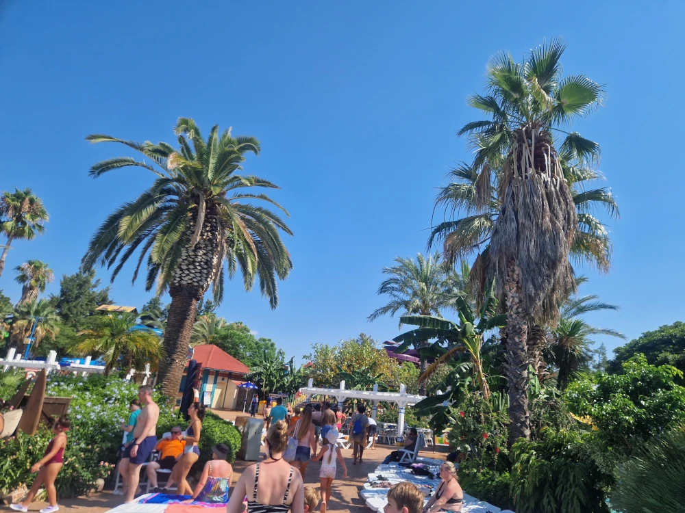 Caribe Aquatic Park Tropical Scenery