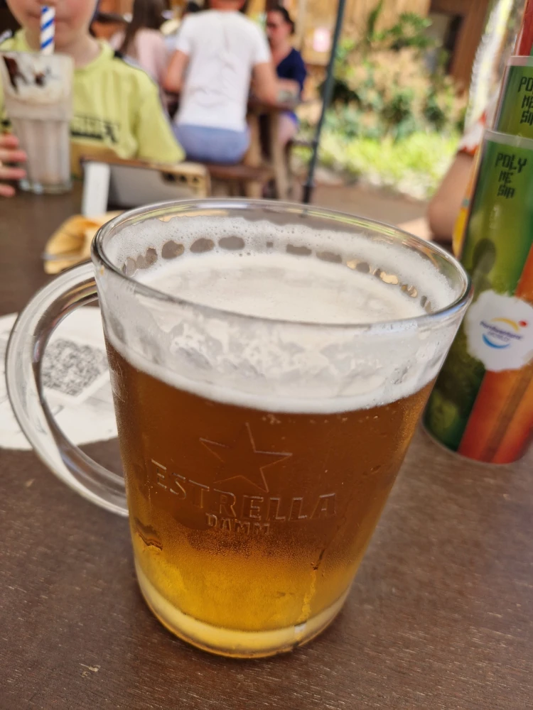 Hotel Gold River - River Pool Bar Estrella