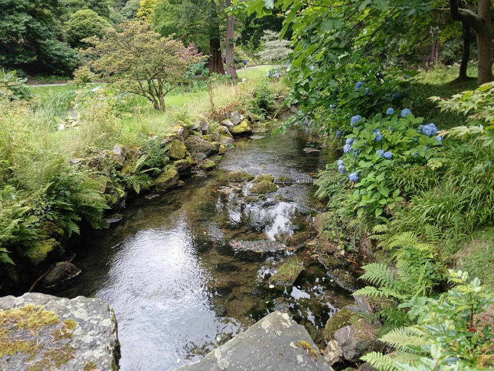 Bodnant Gardens Streams