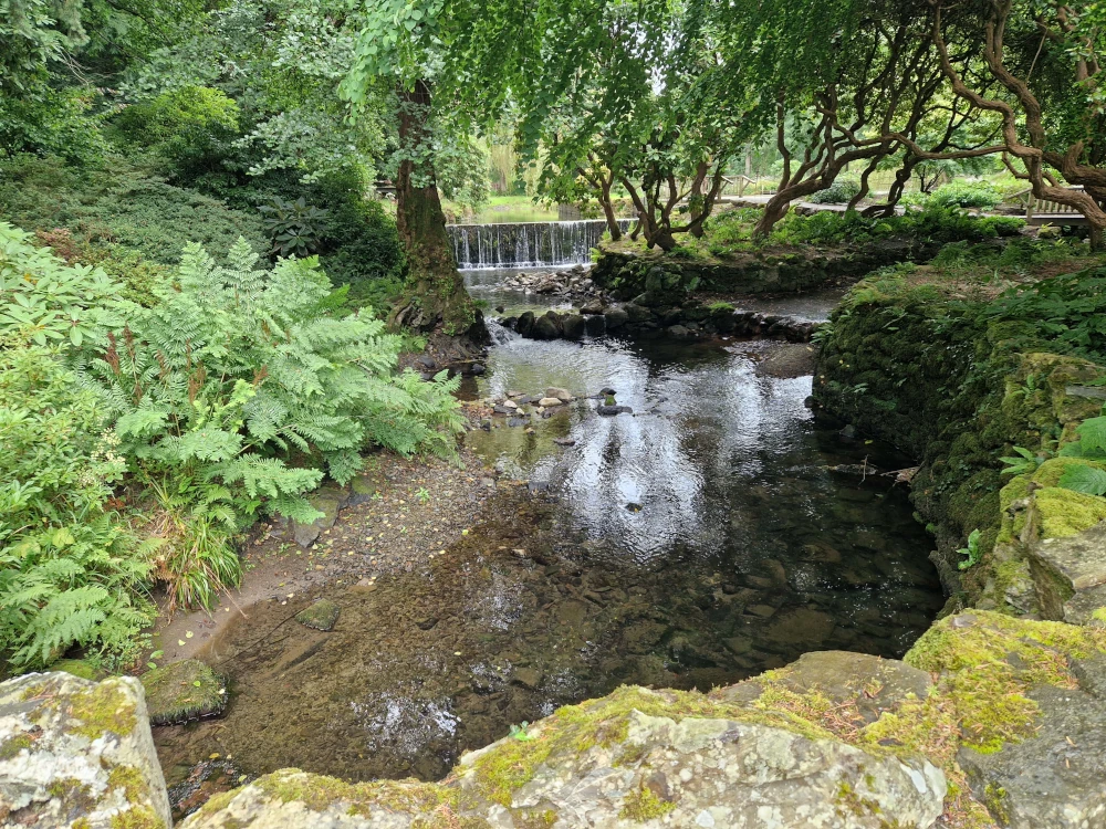 Bodnant Gardens Streams