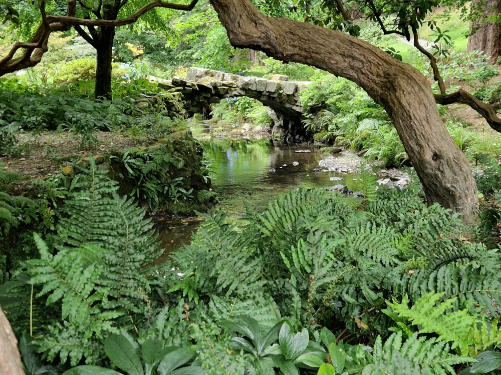 Bodnant Gardens Bridge in Forest