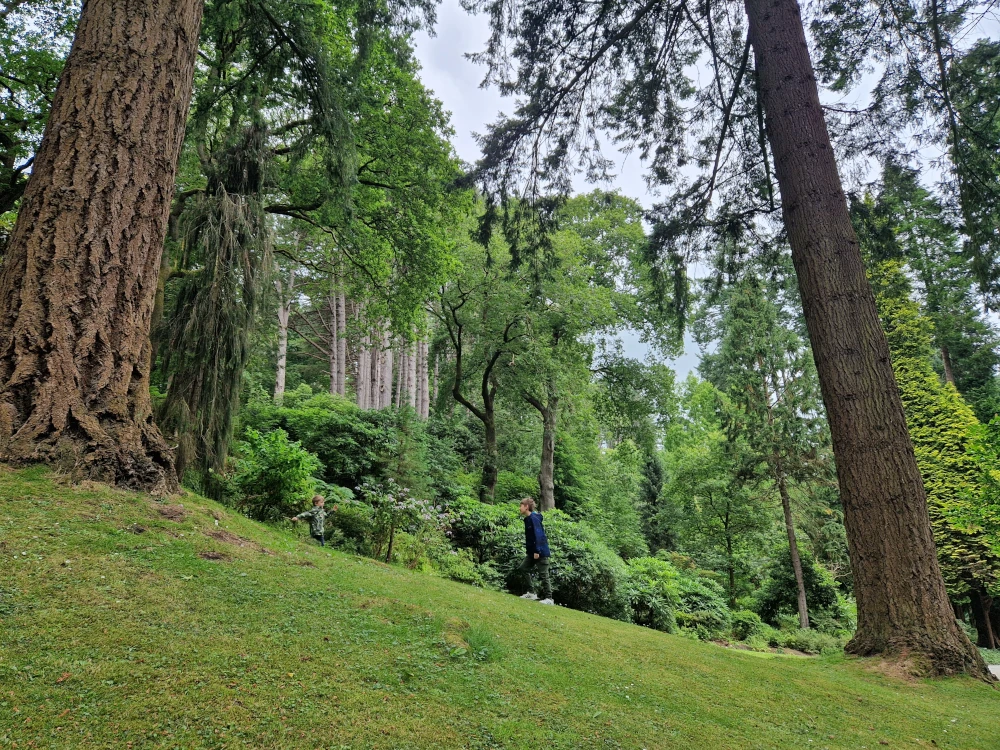 Bodnant Gardens Woodland Walks
