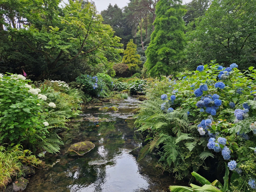 Bodnant Gardens Streams