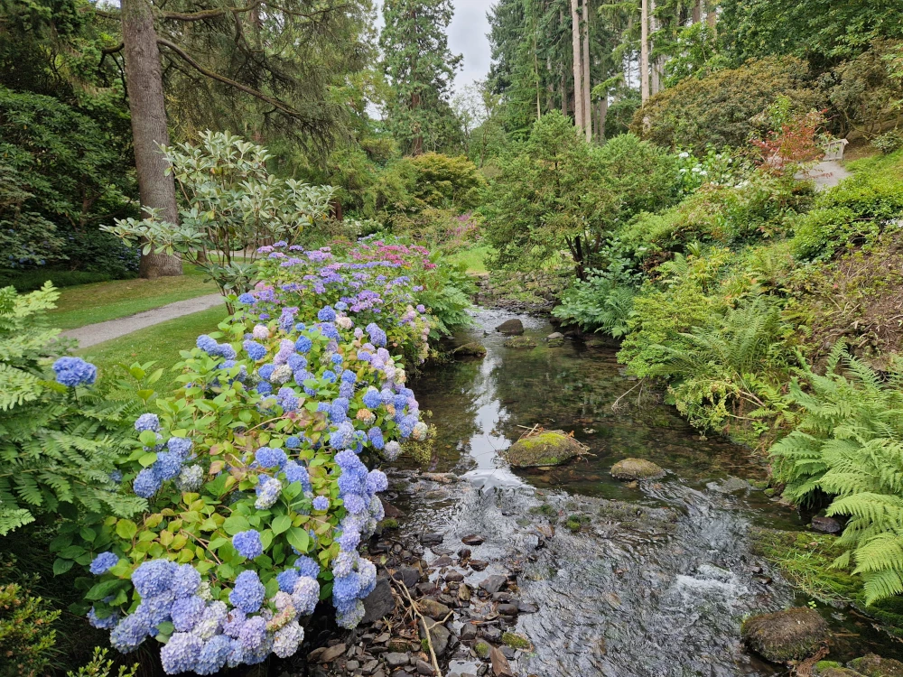 Bodnant Gardens Streams