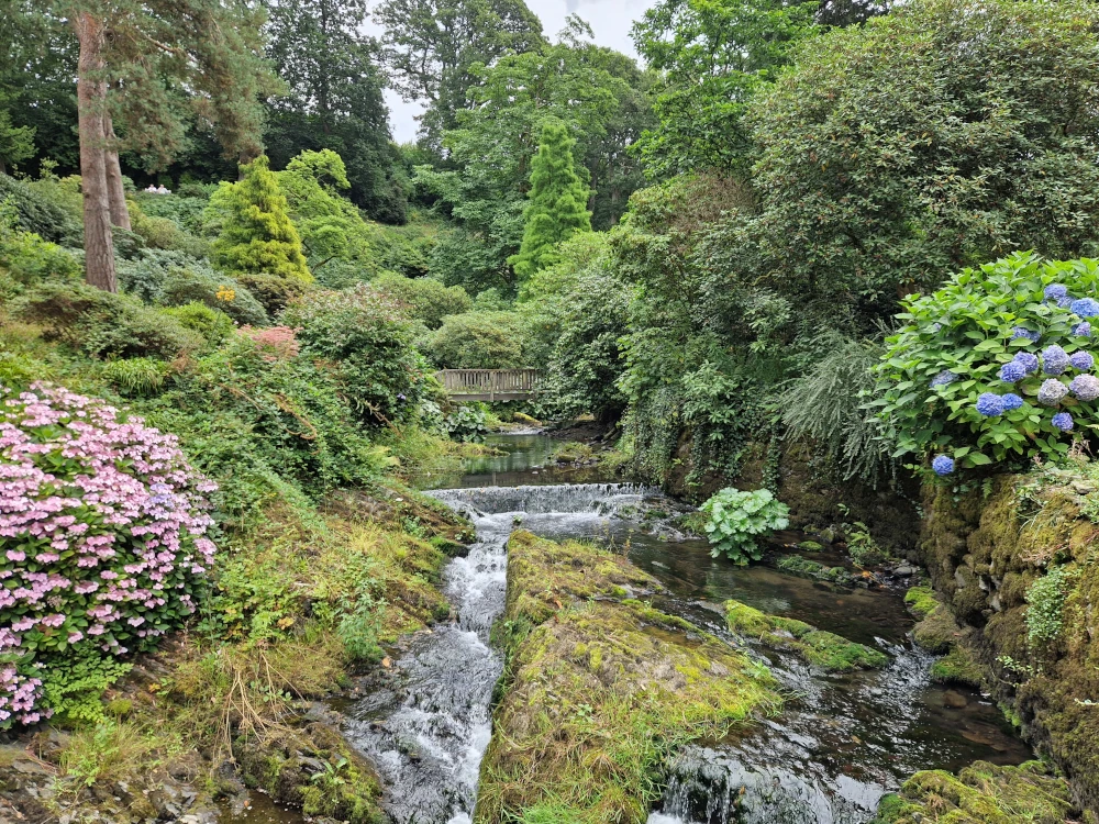 Bodnant Gardens Steams