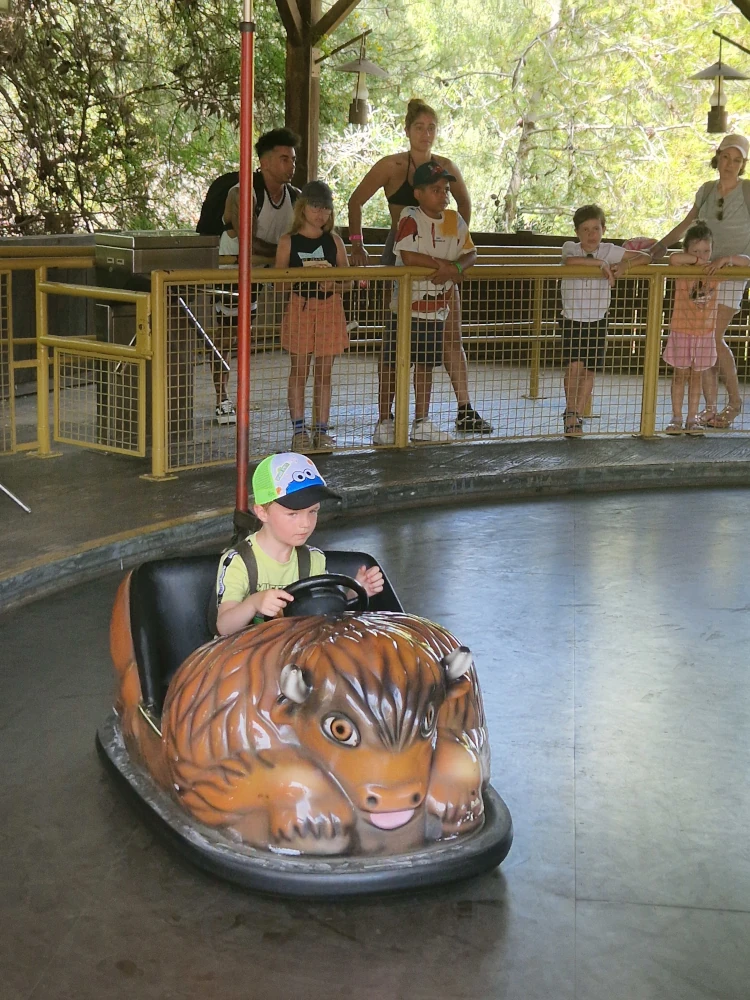 PortAventura Park WIld Buffalos