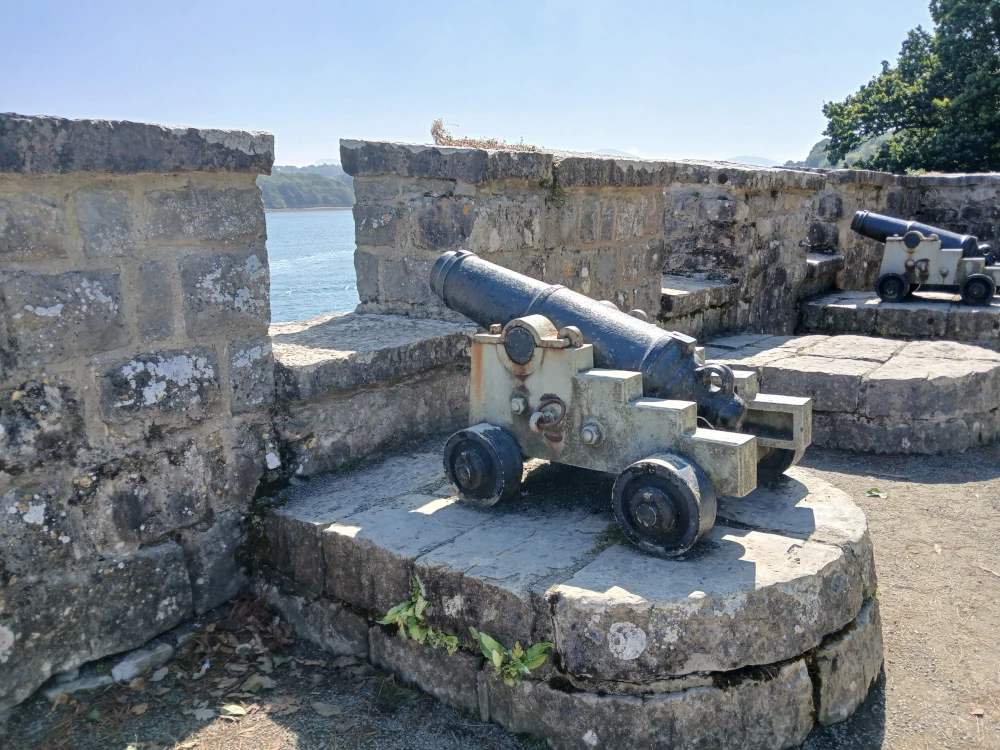 Plas Newydd Cannons