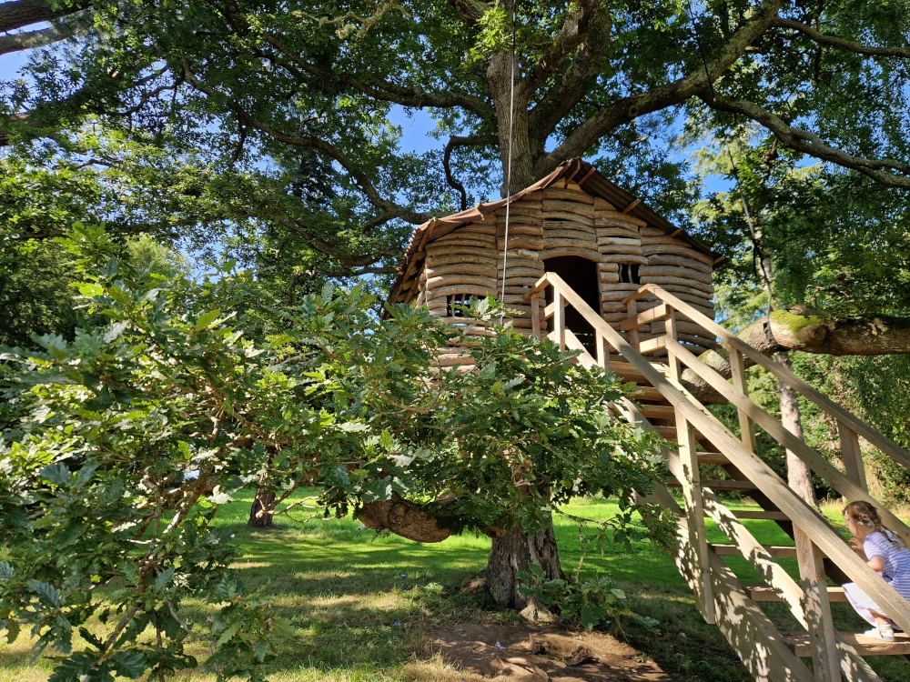 Plas Newydd Tree House