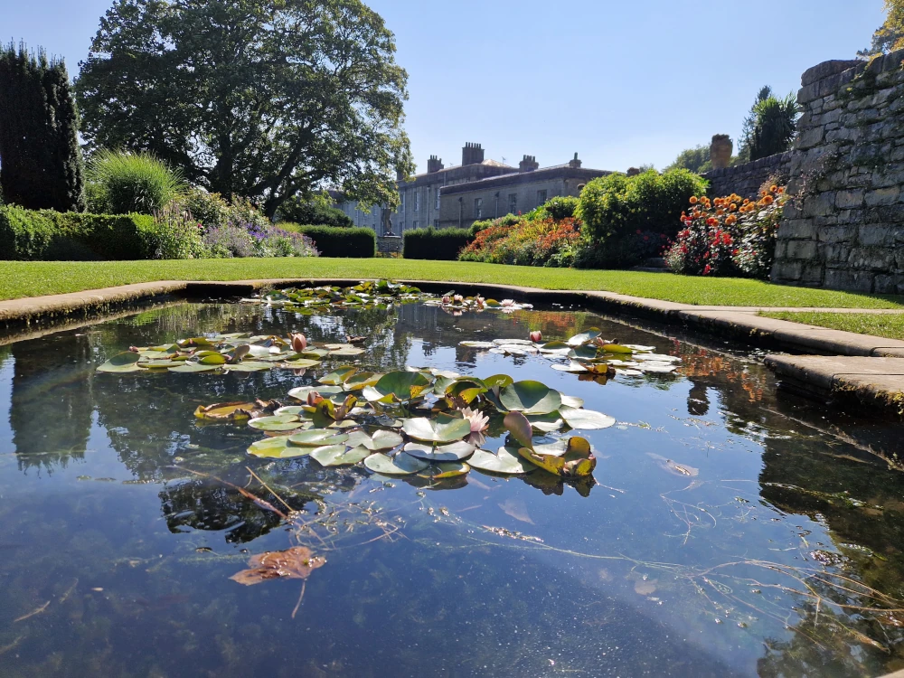 Plas Newydd House Garden Pond