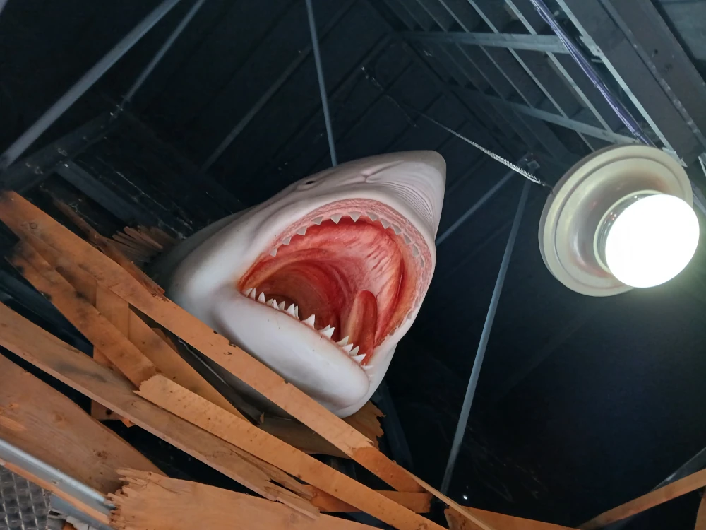 Thorpe Park Amity Restaurant Shark