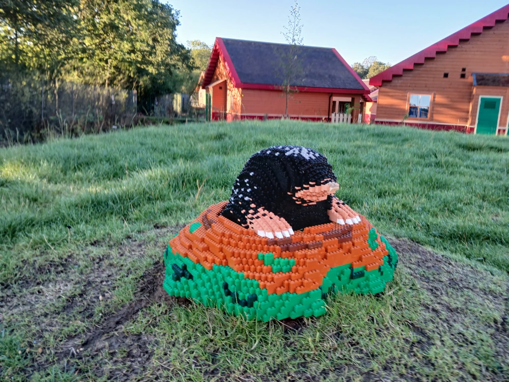 Legoland Windsor Woodland Village Lego Mole
