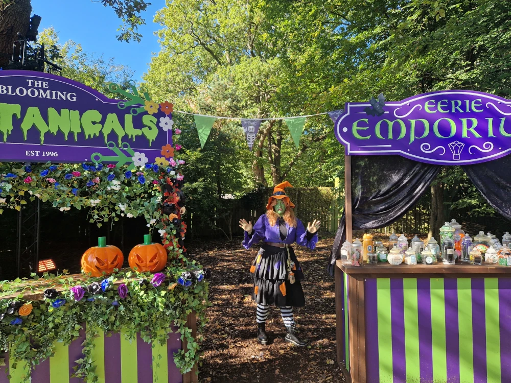 Legoland Windsor Brick or Treat Witch