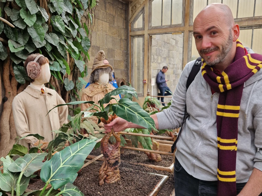 Warner Bros Studio Tour Greenhouse and Mandrakes