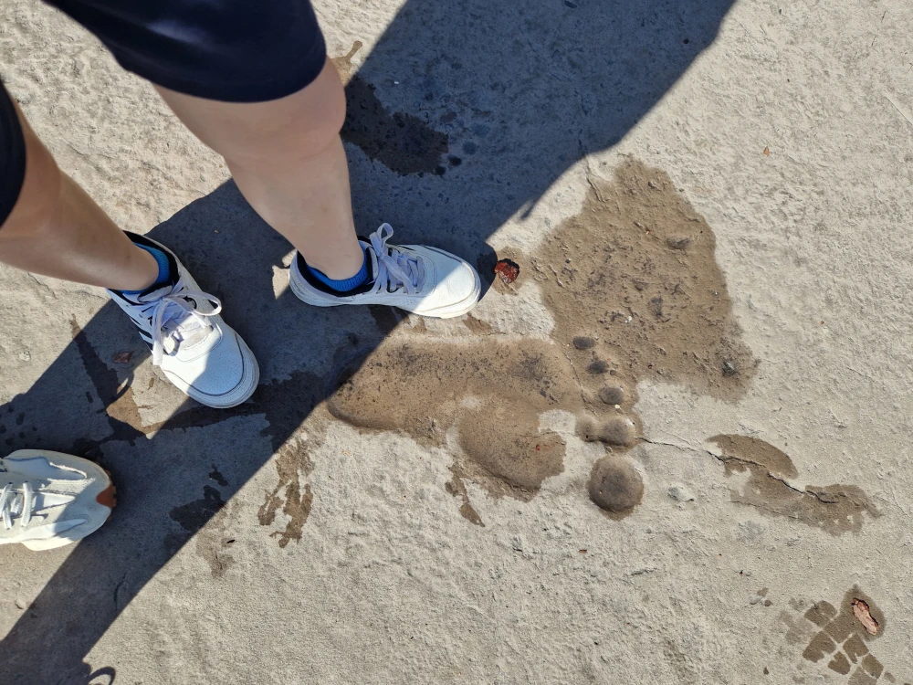 Universal Studios Florida Ogre Footprint