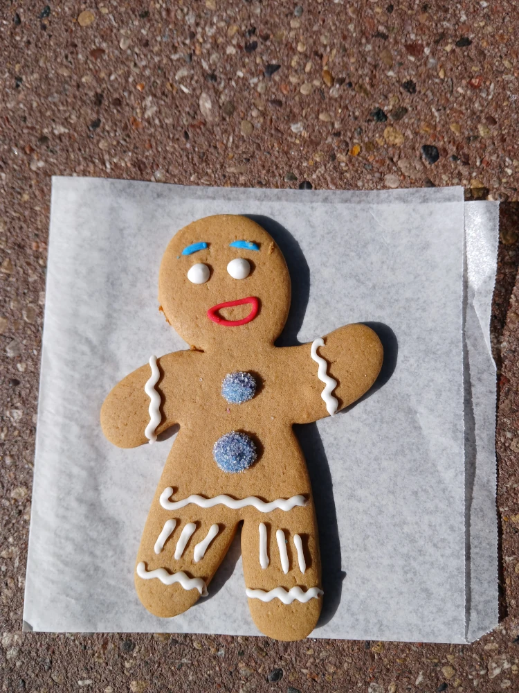 Universal Studios Florida Gingy