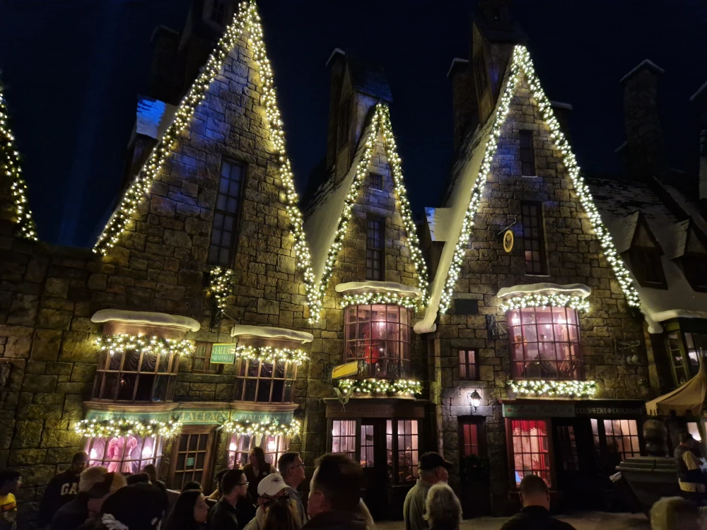 Universal Islands of Adventure Hogsmeade Decorated Shops