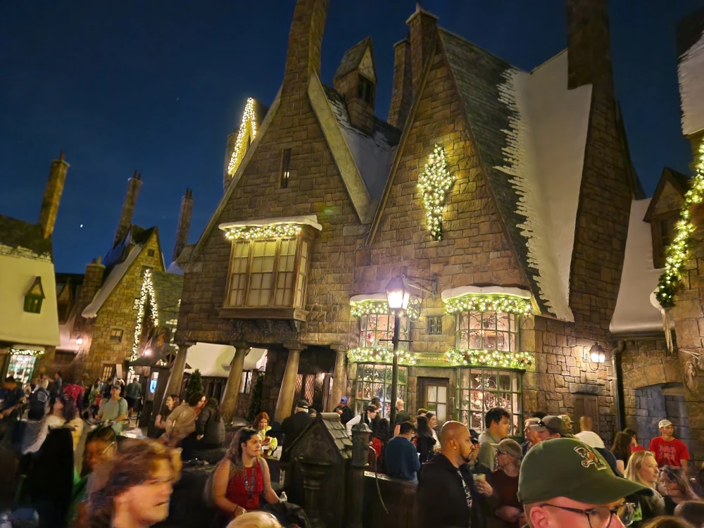 Universal Islands of Adventure Hogsmeade Decorated Shops