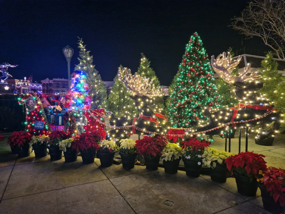 Universal Studios Florida Christmas Trees