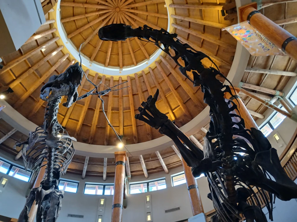 Universal Islands of Adventure Jurassic Park Discovery Centre