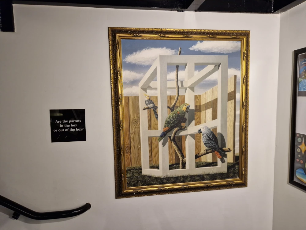 WonderWorks Orlando Wonder Art
