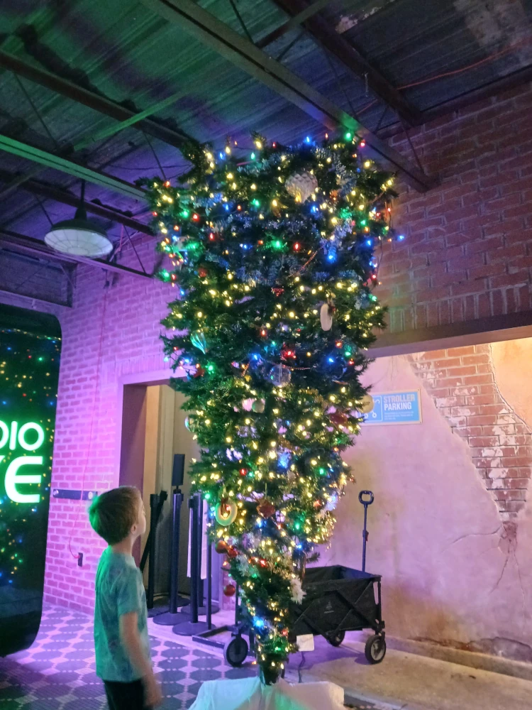 WonderWorks Orlando Upside Down Christmas Tree