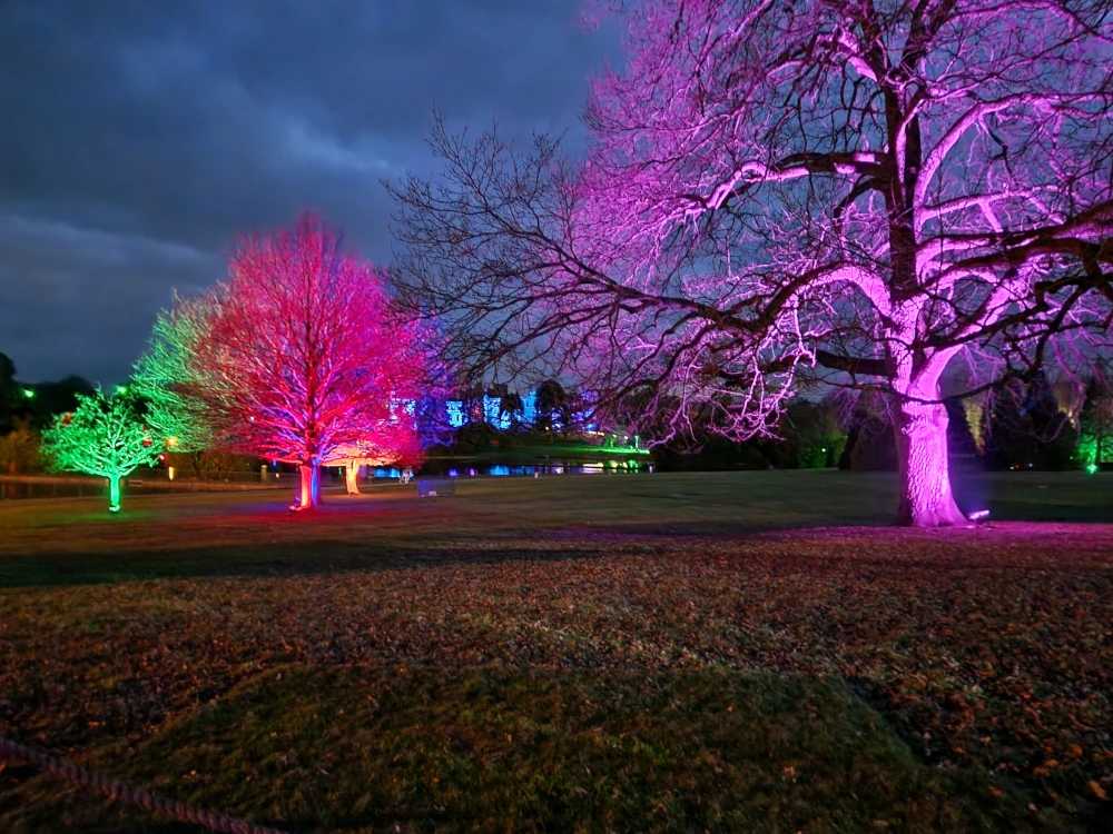 Alton Towers - Alton After Dark Tree Lights