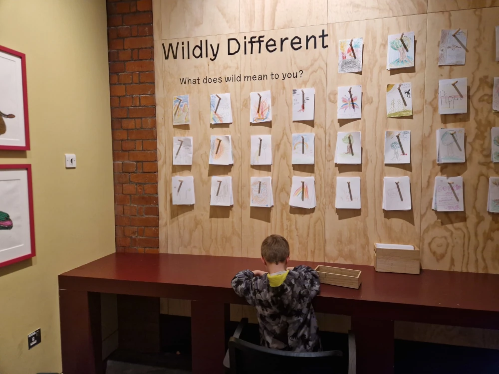 Manchester Museum Wild Gallery Childrens Activities