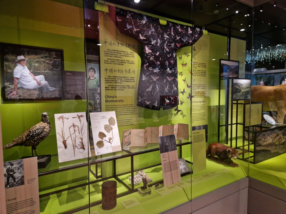 Manchester Museum Chinese Culture Gallery