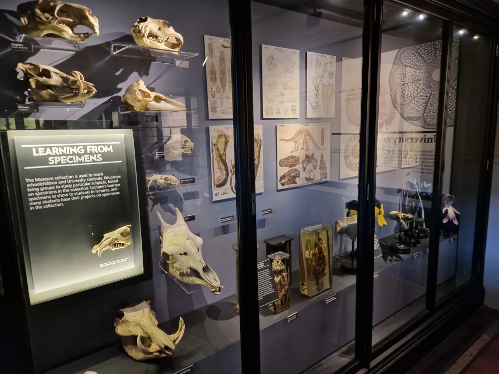 Manchester Museum Natures Library Display