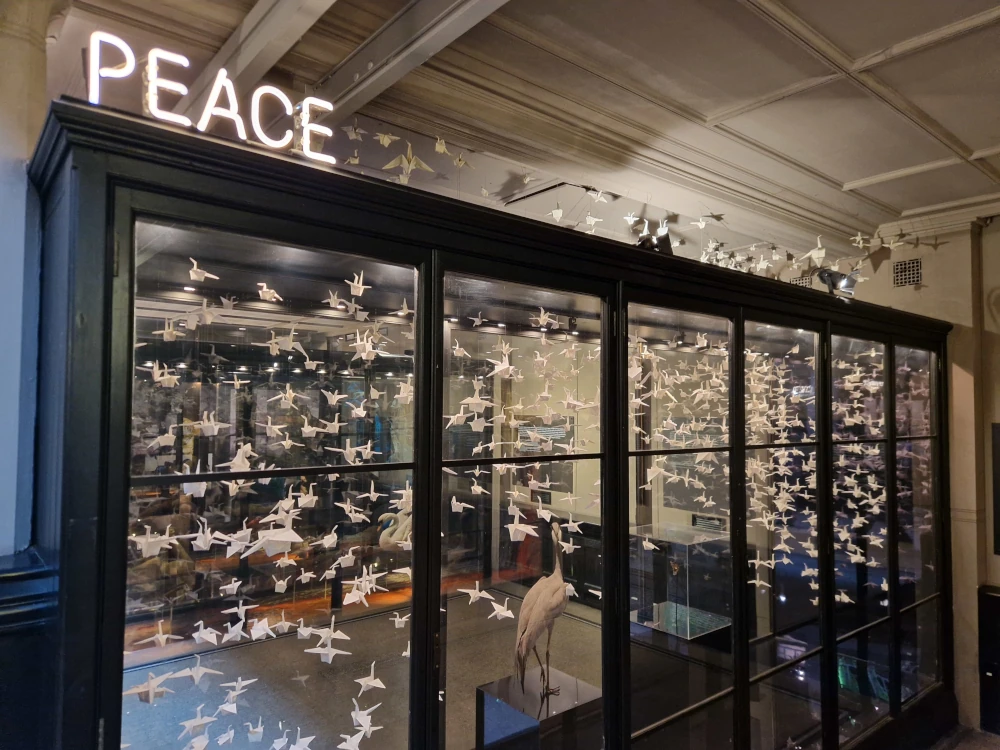 Manchester Museum Peace Display