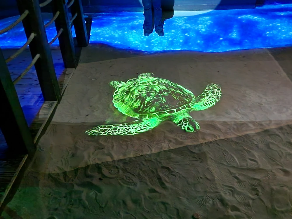 Sea Life Centre Manchester Turtle Cove