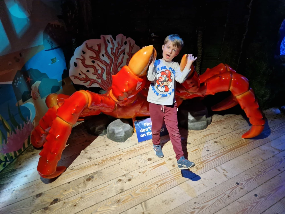 Sea Life Centre Manchester Crab Statue