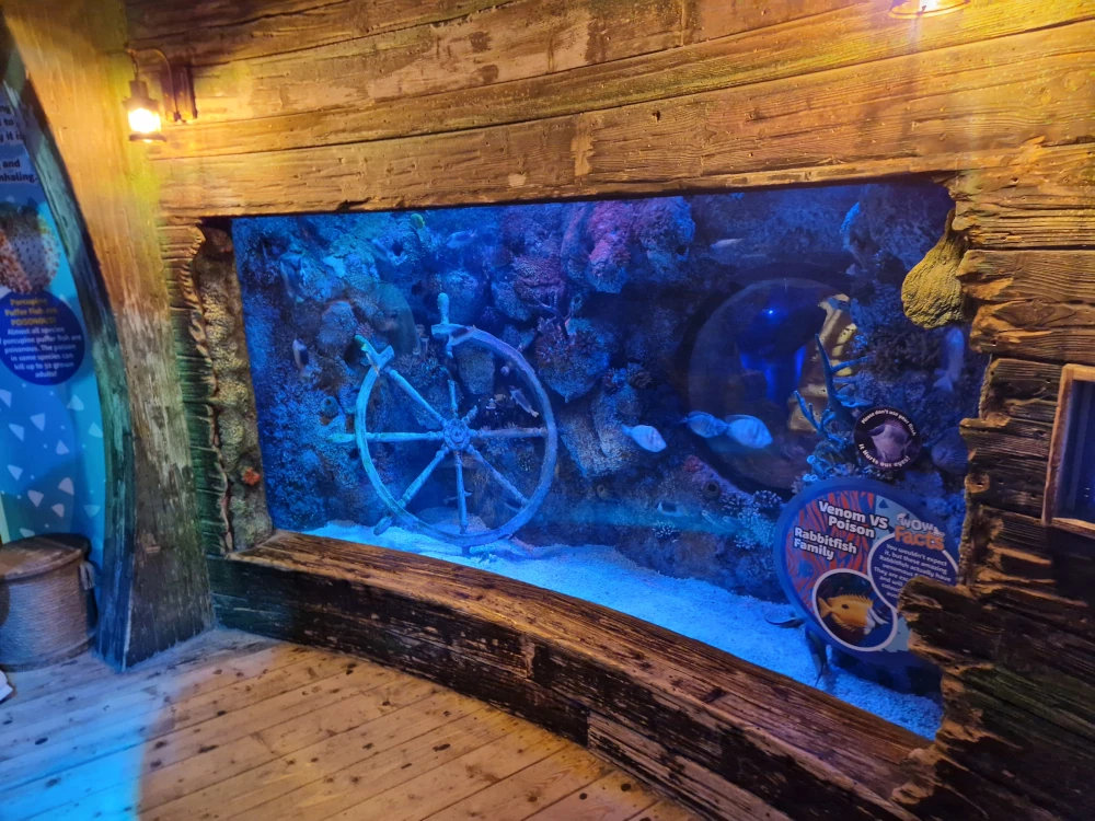 Sea Life Centre Manchester Shipwreck Aquarium