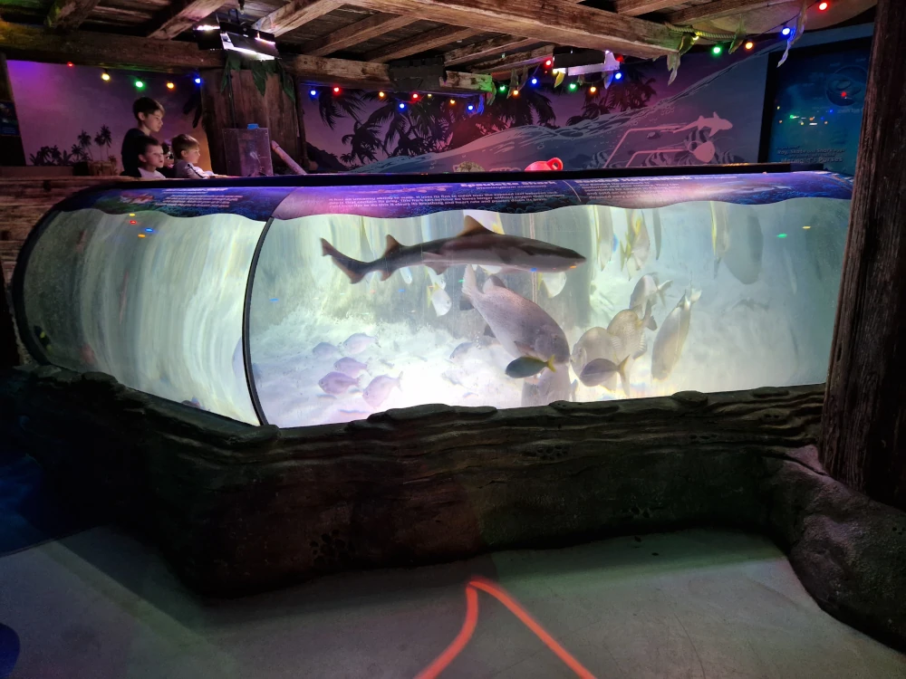 Sea Life Centre Manchester Stingray Bay