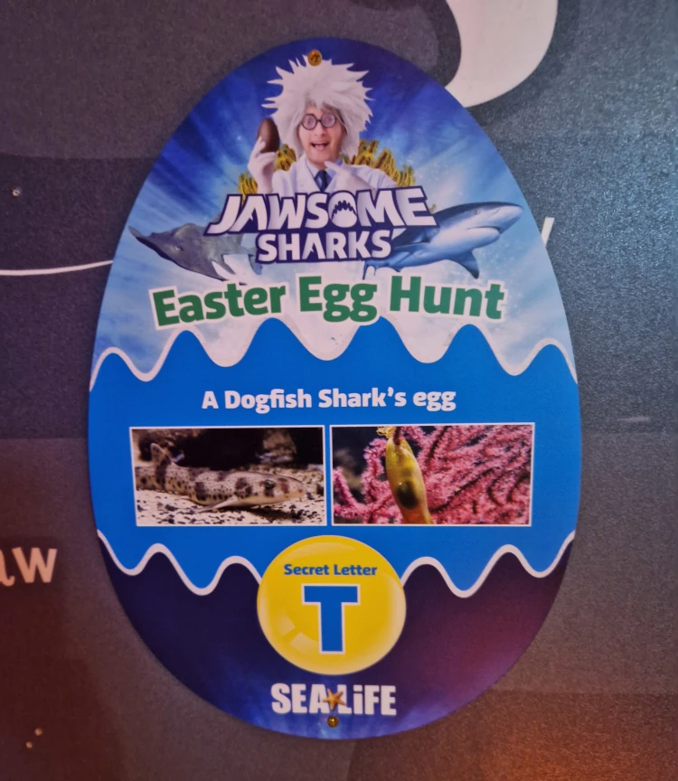 Sea Life Centre Manchester Jawsome Sharks Egg Hunt