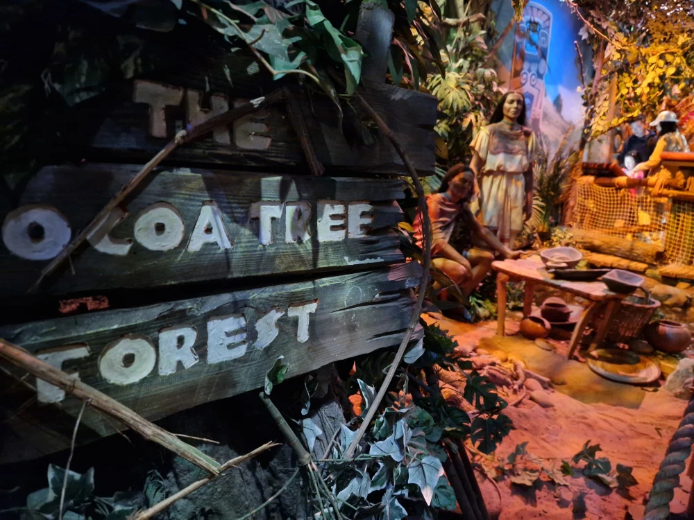 Cadbury World Cocoa Tree Forest
