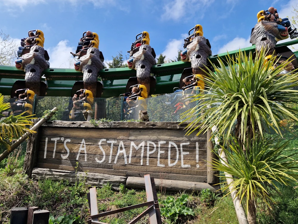 Chessington World of Adventures Mandrill Mayhem