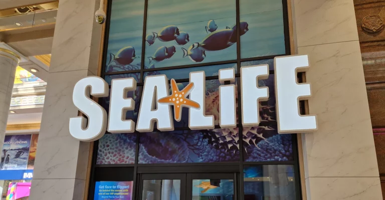 Sea Life Centre Manchester