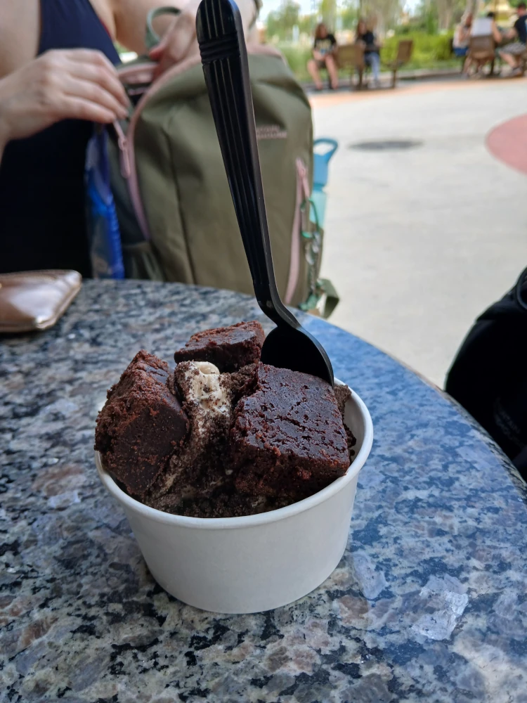Epic Universe Frosty Moon Cookie Butter Ice Cream