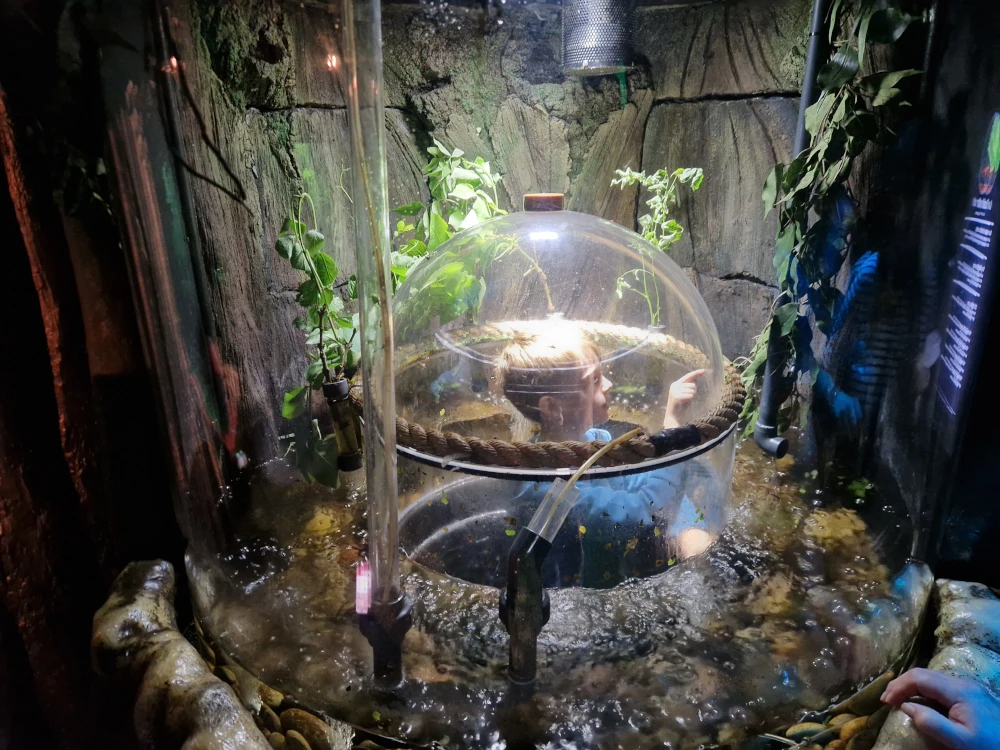 Sea Life London Aquarium Ants